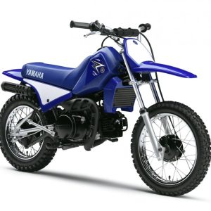 Yamaha PW80
