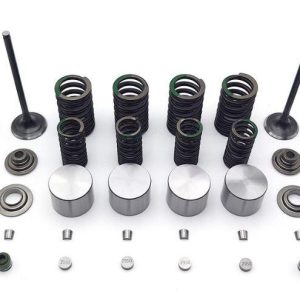 Valve Spring Assembly Kit KAWASAKI, KLX 250 300 D-TRACKER LONCIN VOGE