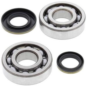 CRANKSHAFT BEARING & SEAL KIT, ALLBALLS 24-1046 RM250 03-04