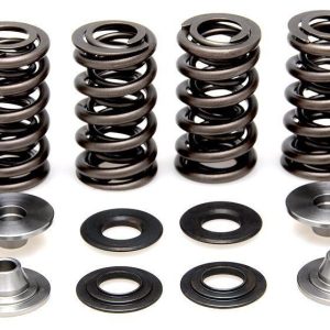 VALVE SPRING SET RMZ250 04-06, KIBBLEWHITE 60-60170