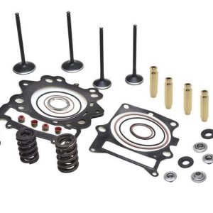 CYLINDER HEAD SERVICE KIT, KIBBLEWHITE 80-82080, SPRINGS VALVES HEAD GASKETS