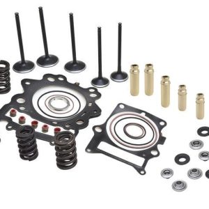 CYLINDER HEAD SERVICE KIT, KIBBLEWHITE 80-82390, SPRINGS VALVES HEAD GASKETS