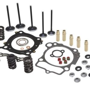 CYLINDER HEAD SERVICE KIT, KIBBLEWHITE 80-82400, SPRINGS VALVES HEAD GASKETS