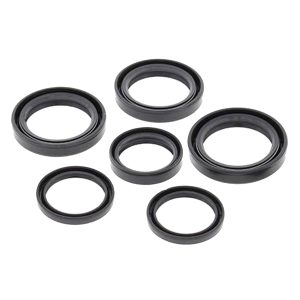 DIFFERENTIAL SEAL KIT POLARIS, ALLBALLS 25-2065-5